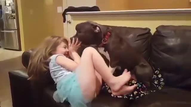 Pit Bull Shares Giggly Smooch Session With Little Girl