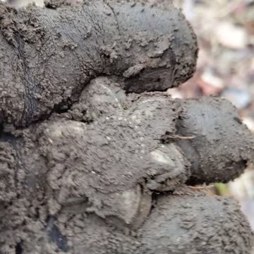 Metal detecting finds