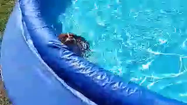 How he gets out (and back in) to the pool