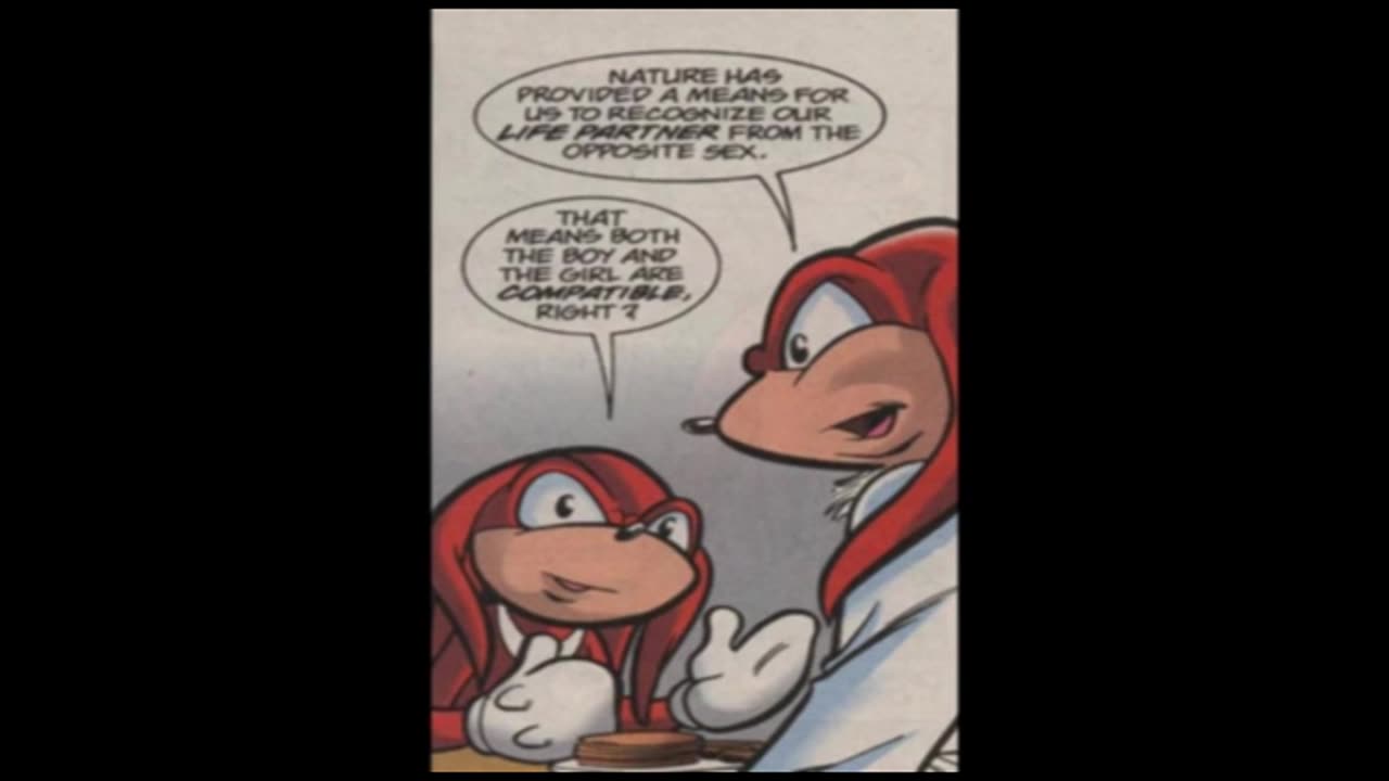 Newbie's Perspective Knuckles Comic Issue 26 Review