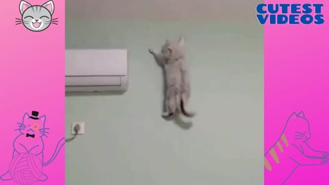 Down the wall