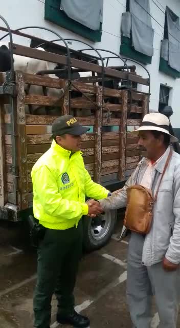 banda los cebudos, capturados en Santander
