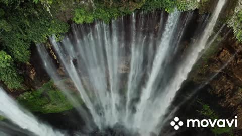 Waterfall to the tune of the Saint-Saëns's Animal Carnival (swan)