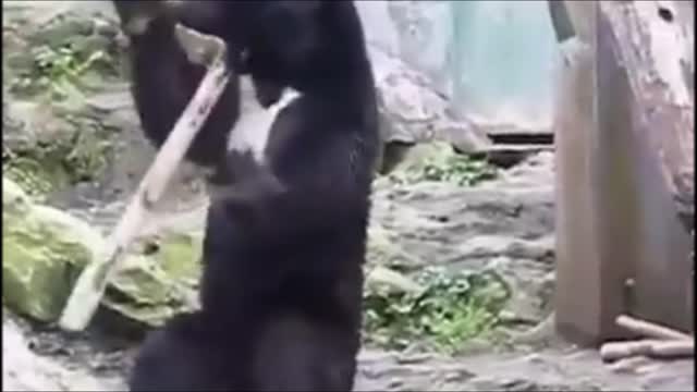 KUNGFU PANDA BEST PRACTICE