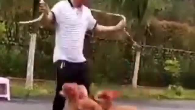 Funny cute cats🐱🐱