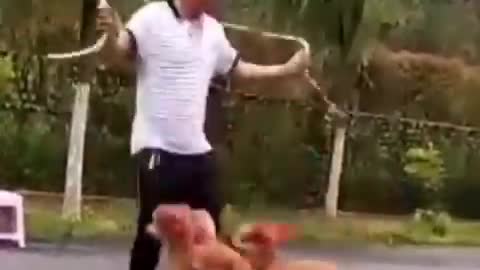 Funny cute cats🐱🐱