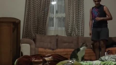 Paws🐾 goal ⚽ keeper