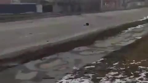 Tank vs Tank duel in the streets of Ukraine.