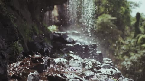 Natural Beauty Video