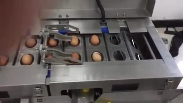 egg machines