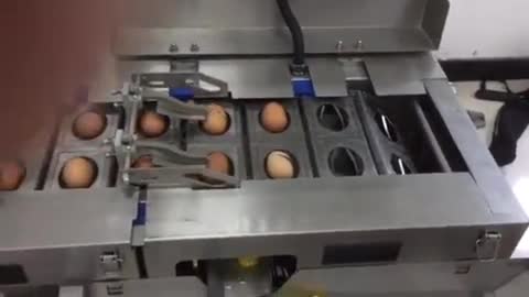 egg machines