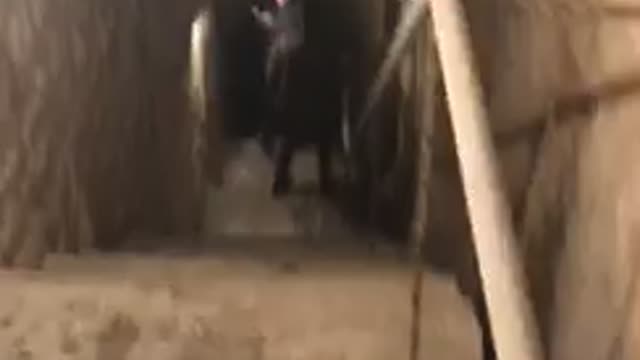200ft deep cave inside rawaldam