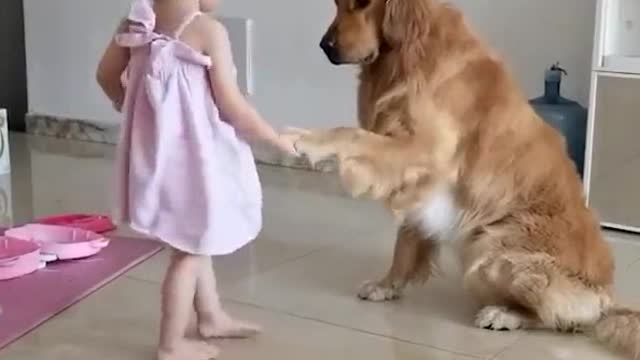 The Moments that prove DOG is CUTEST and CLOSEST friend of Human - You MUST HAVE!