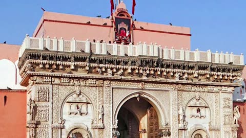 Rat Temple in Rajasthan..karni mata Devi ke mandir. Amazing Fact video