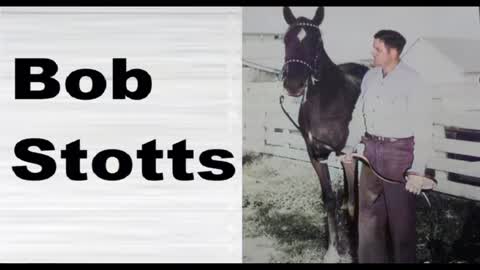 BOB STOTTS - WHEN YOU BECAME A WOMAN I BECAME A MAN