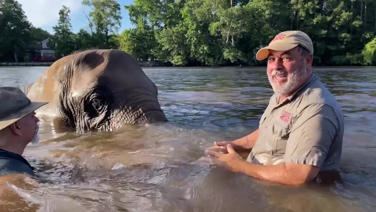 Elephant safari Gone wrong😱