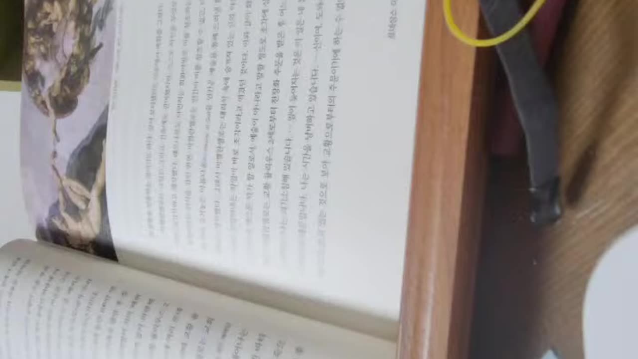 서양명화 읽어주는 외교관,황순택,부오나로티미켈란젤로,카프레세,석공,유모,그림그리기,유명화가,도메니코기를란다요,동년배,로렌초메디치,클레멘스7세,다비드상,회화,베키오궁전,피렌체