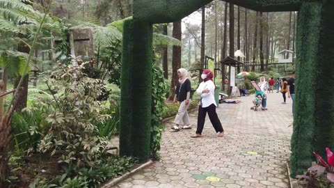 Funny Bushman Prank Moments