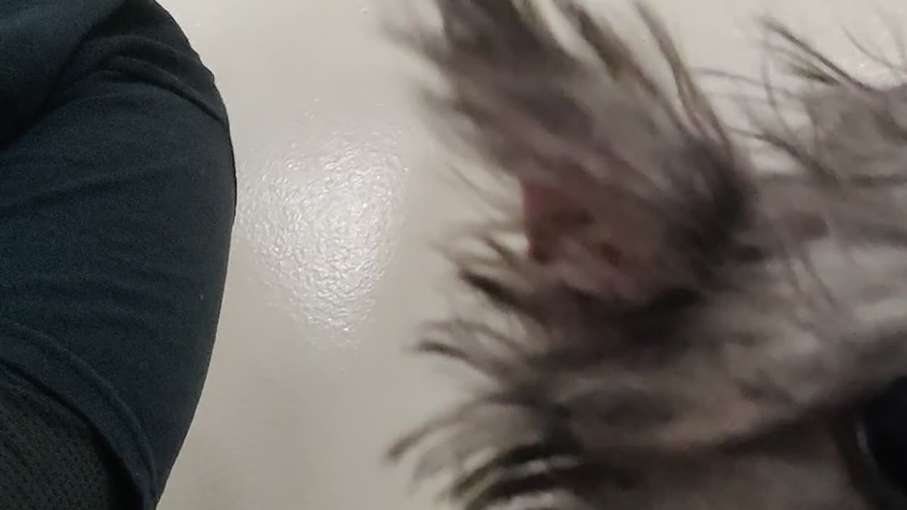 Spencer at pet store VID_20220226_112239