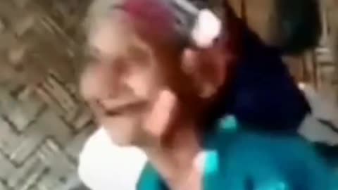 best videos on the internet