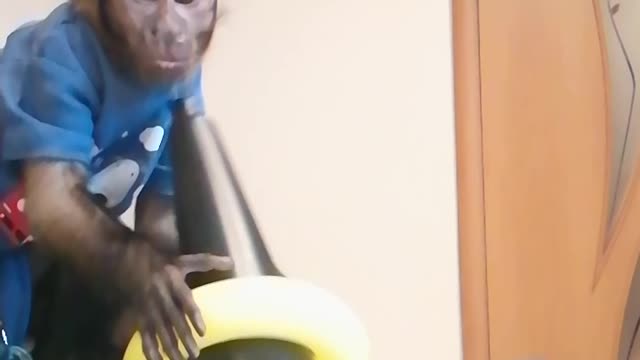 Учимся собирать пирамидку