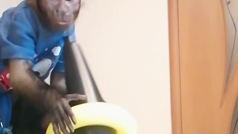 Учимся собирать пирамидку