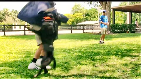 Learn How To Train Your Dog In Fun Way As They Are Trained in Dog Training Academyl