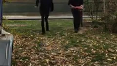 STUPID PEOPLE VIDEOS
