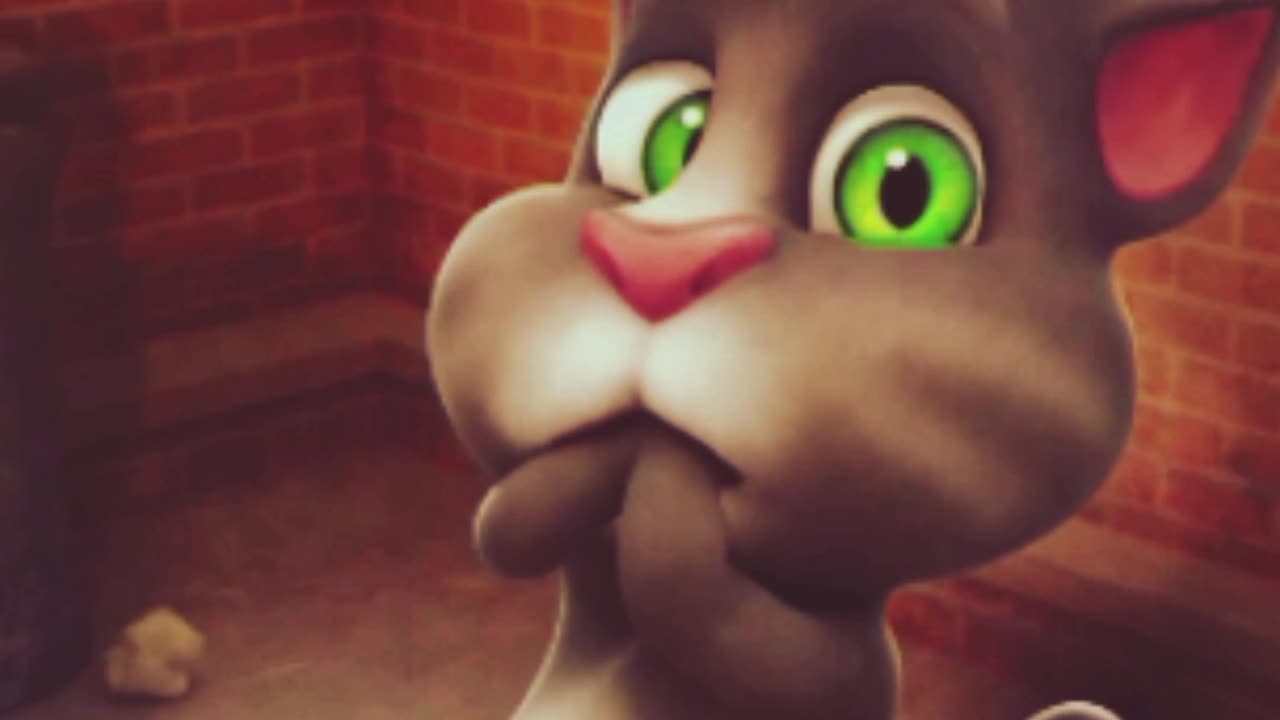 @catvid