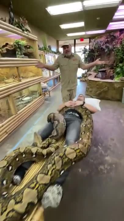 FUNNY AND CUTE ANIMALS 🐍⚕️🐍