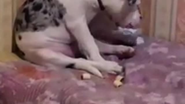 Friends to be friends