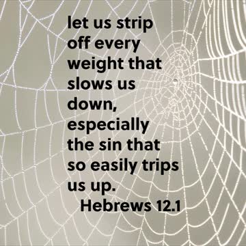 Hebrews 12.1