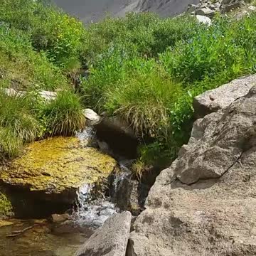 Flowing stream high in the Colorado Rocky Mountains (15s)