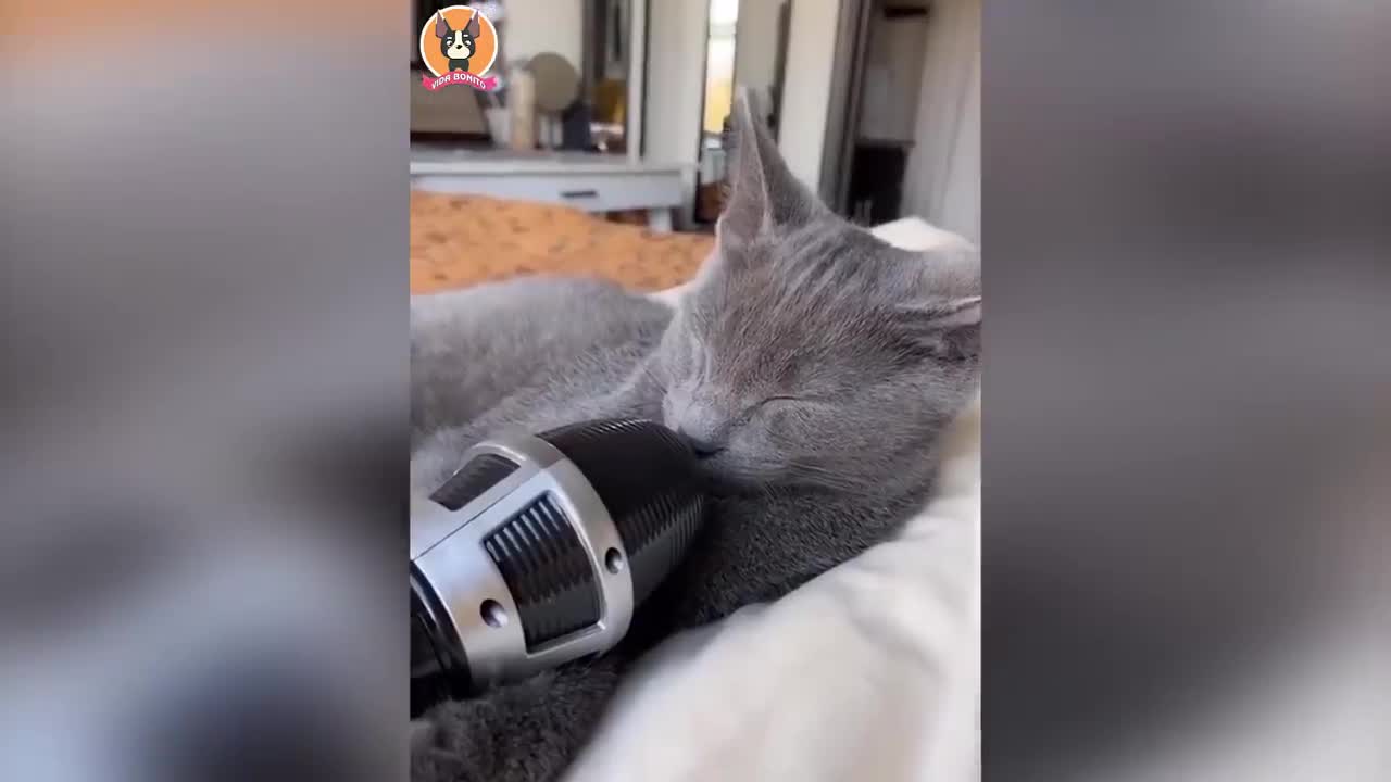 cutest animals in the world