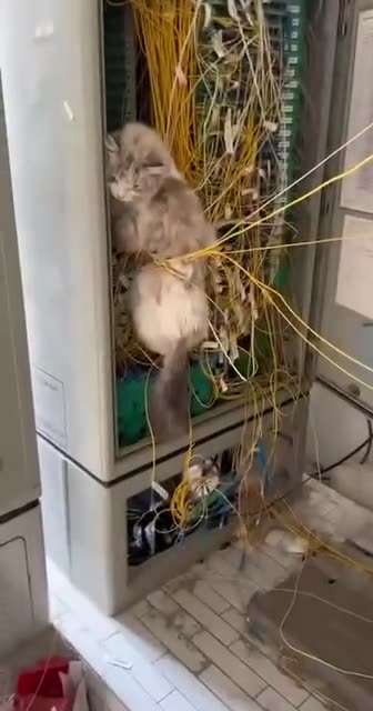 System admin first day on the job 🤣😂🤣😂