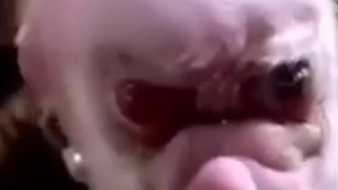 😱