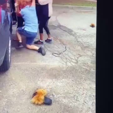 Flint Mail Lady Gets Beat Up Over Stimulus Checks