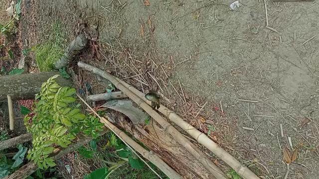 Amazing Hook Fishing Coming soon my channel