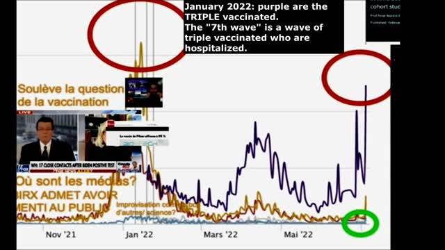 (Fran_Eng) Covid vaccine attacks immune system _ Vaccinated are hospitalized