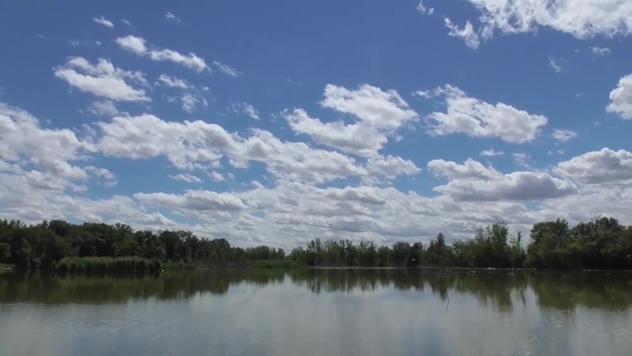 61 Toussaint Wildlife - Oak Harbor Ohio - Double Vision