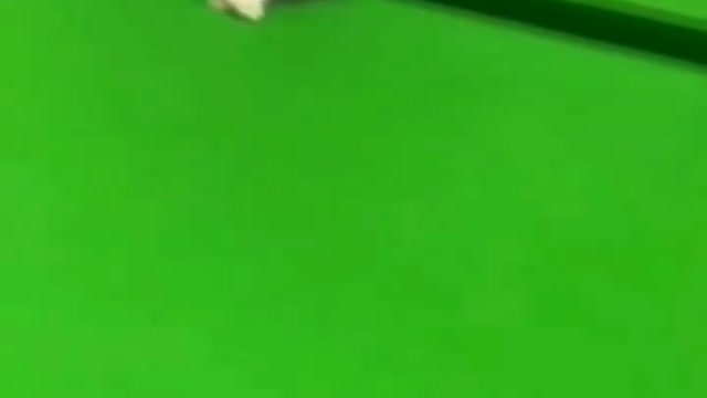 Kitty Playing Billiard