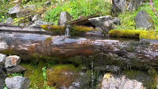 Waterfall Nature Water Drop Sound Relaxing Video Music Smooth water Sound relax.........