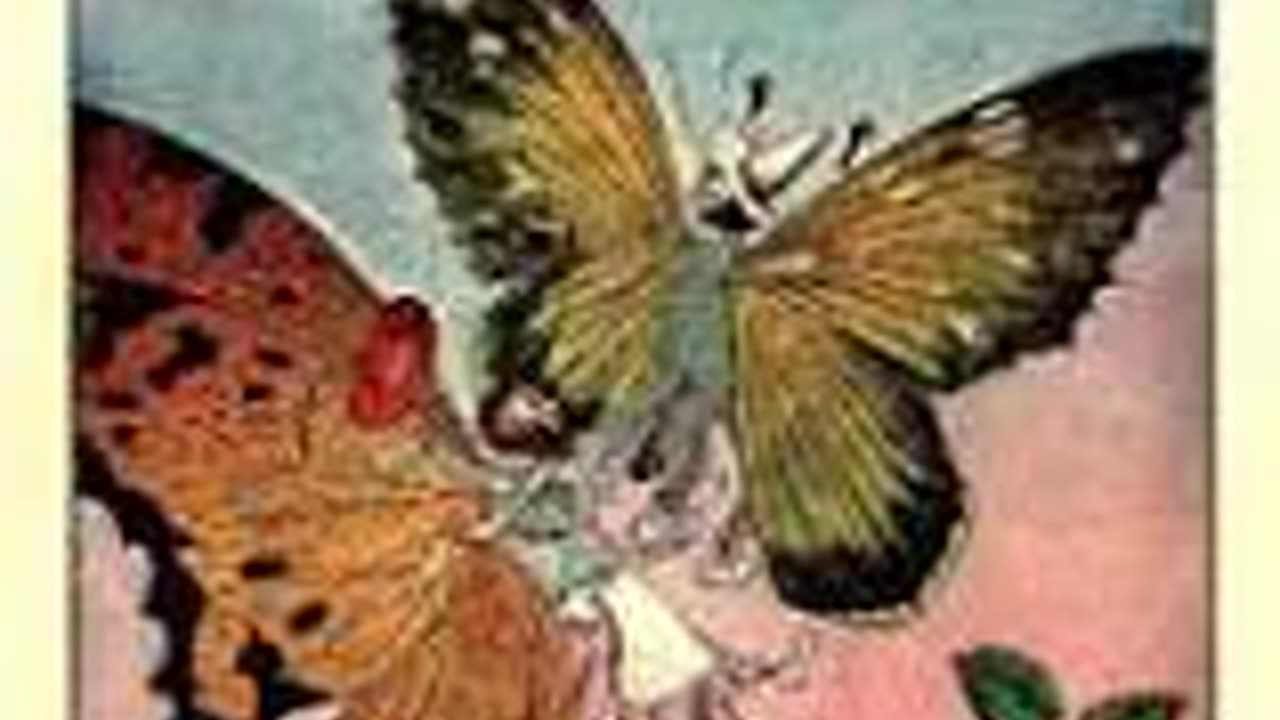 The Tale of Betsy Butterfly By: Arthur Scott Bailey