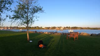 Setting up a riverside vlog. Speedlapse.
