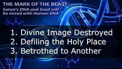Divine Image Destroyed, Defiling the Holy Place, Betrothed to Another (3in1) by Christine Beadsworth