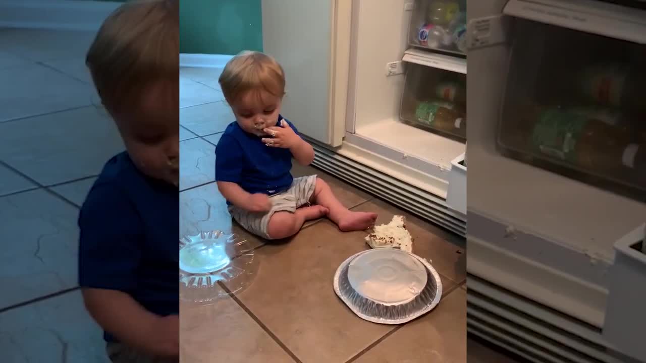 Funny video-When baby open the fridge