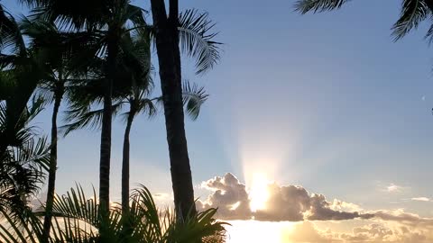 Windy Waikiki SunBeams