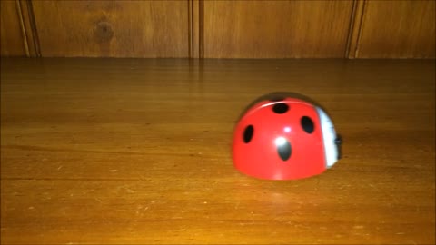 Lady Bug Wind Up Toy