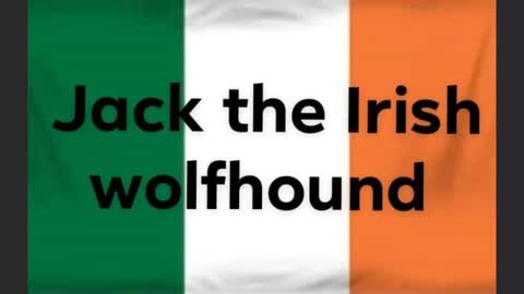 Pictures of cool cars by Jack the Irish wolfhound