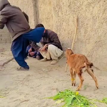 Jis NE madad Ki us Ko dhoka diya